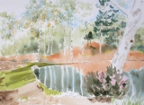 étang à la bruyère - paysages lacustres