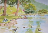 plage à Duingt - paysages lacustres