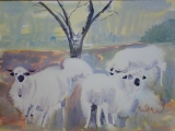 moutons - animaux