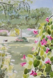 jardin Annabelle - parcs et jardins