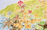 ricins - parcs et jardins