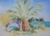 Porquerolle - provence