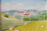 Après la moisson - paysages ruraux