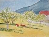 annietaieb - paysages ruraux