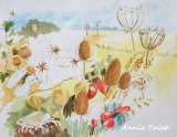 graines et fruits secs - fleurs
