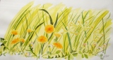 fleurettes de printemps - fleurs